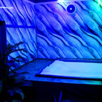 Venue photo 1262