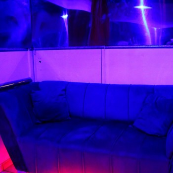 Venue photo 806