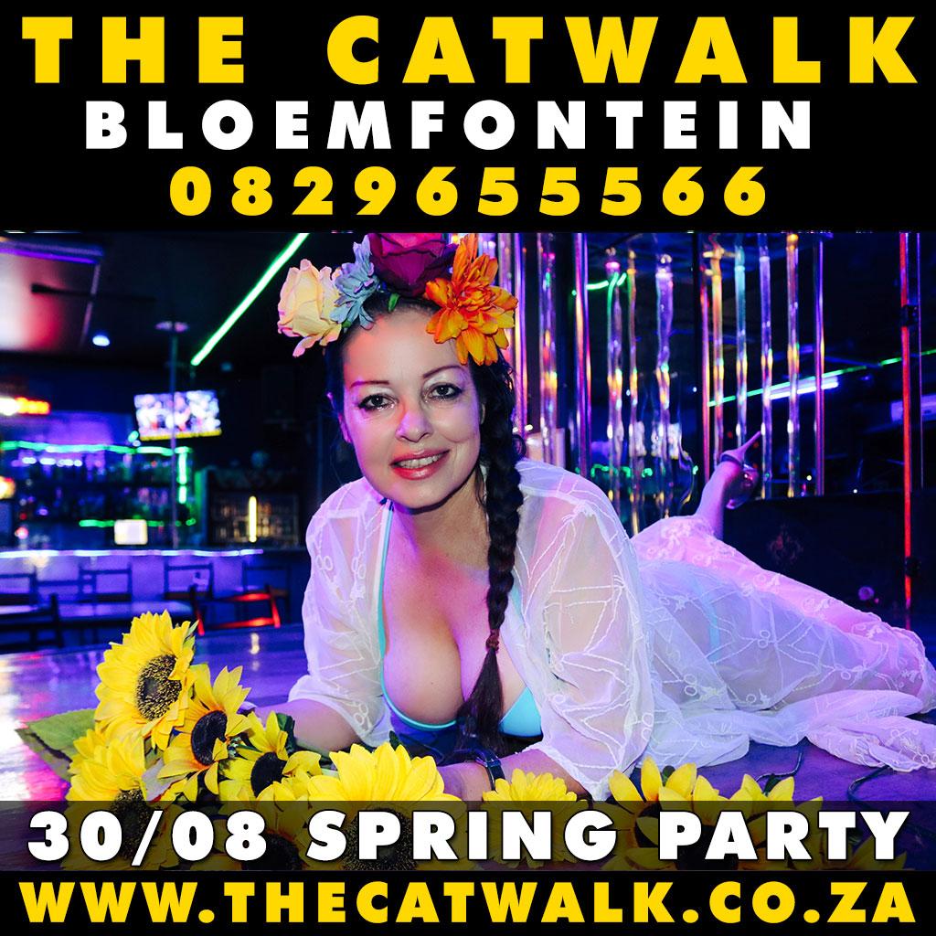 The Catwalk — News