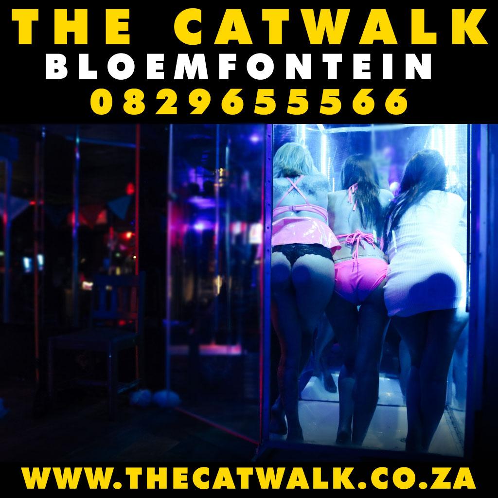 The Catwalk — News