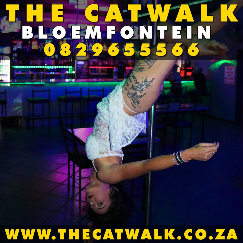 The Catwalk — News