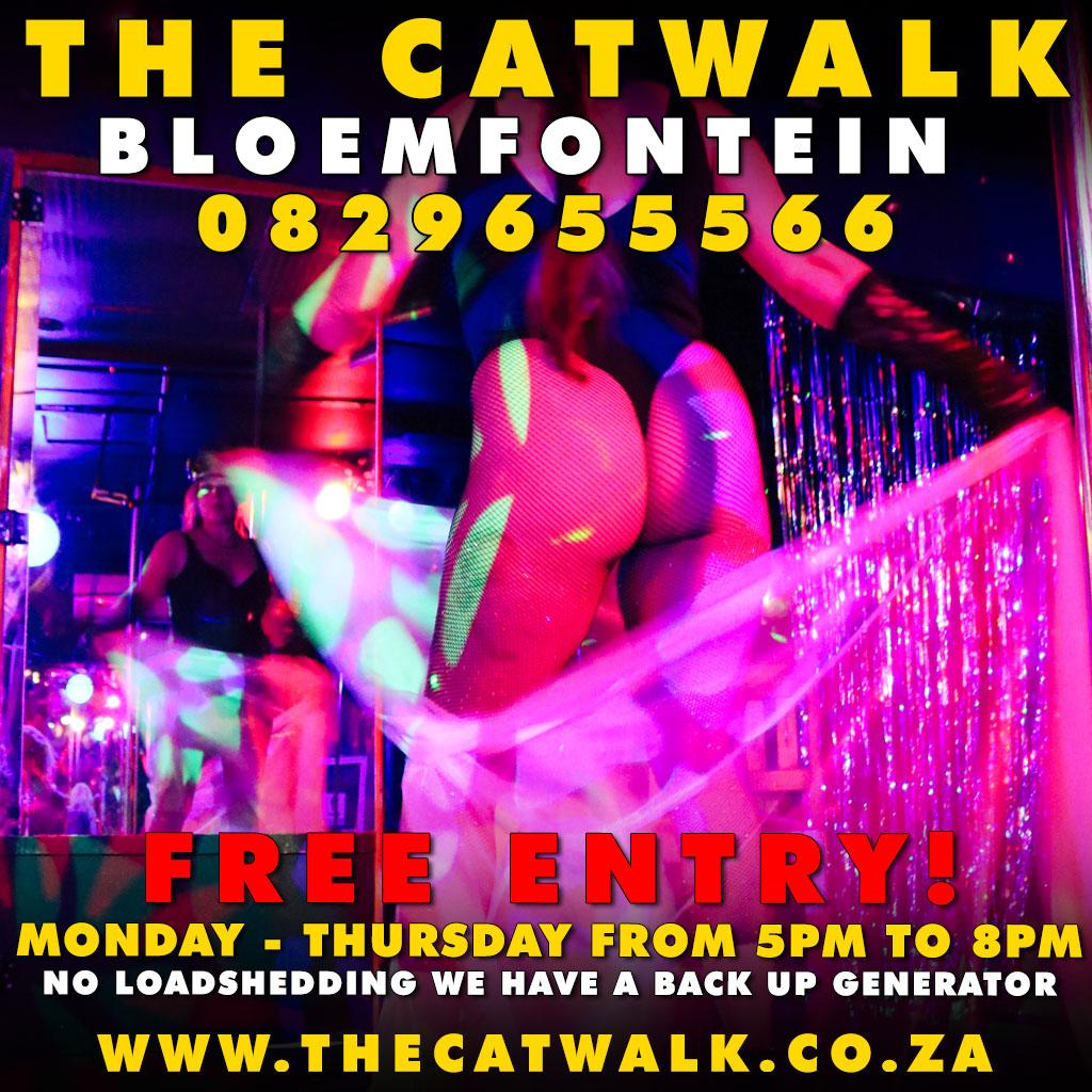 The Catwalk — News