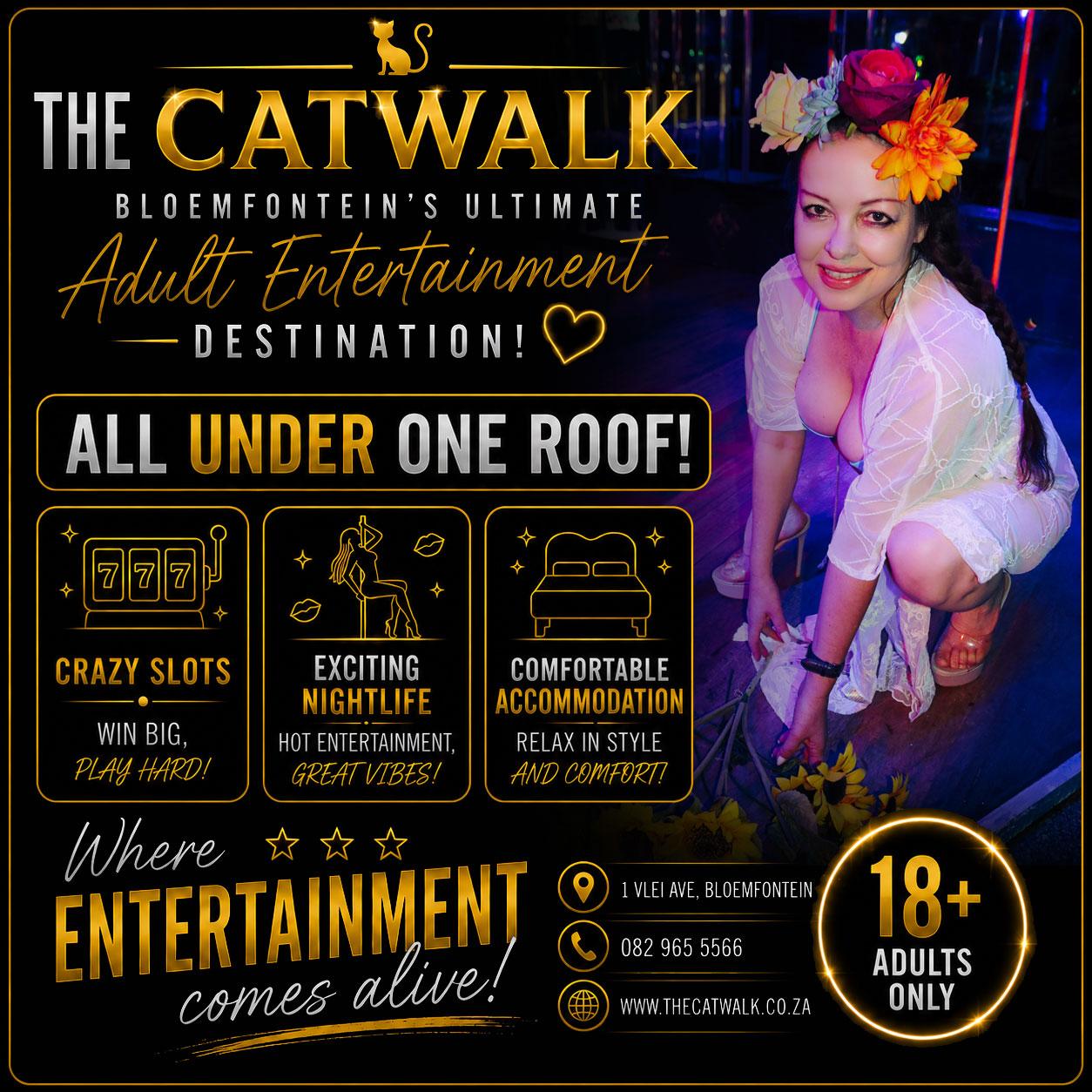 The Catwalk — News