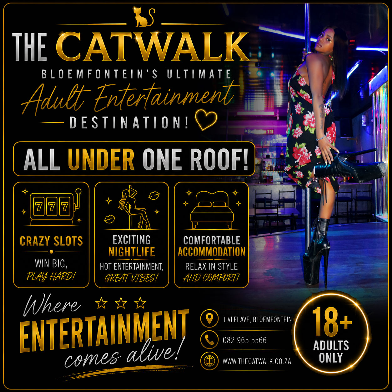 The Catwalk — News
