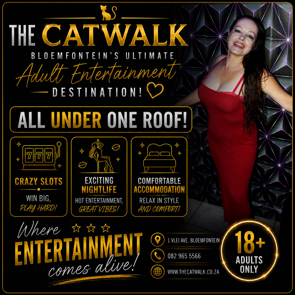 The Catwalk — News