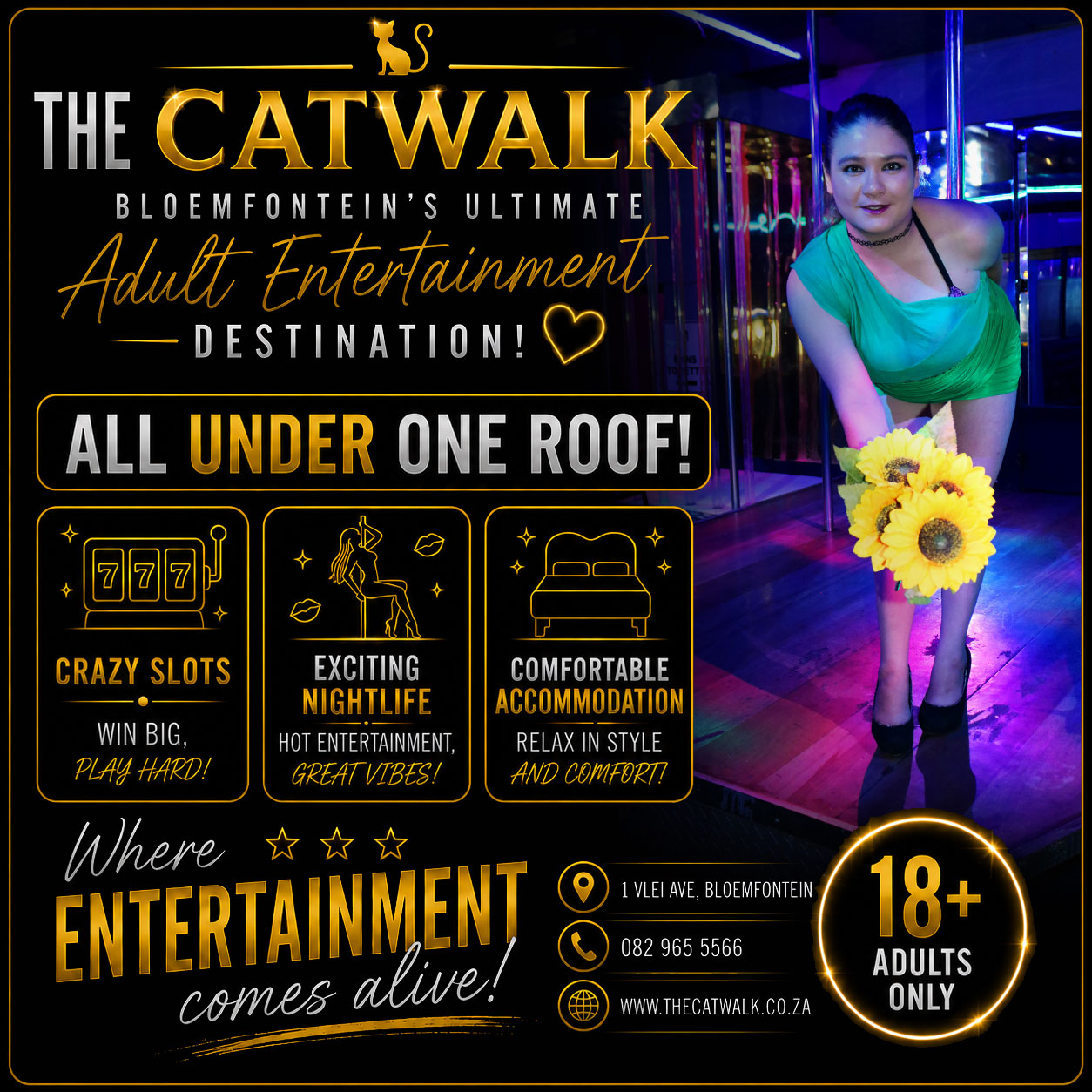 The Catwalk — News