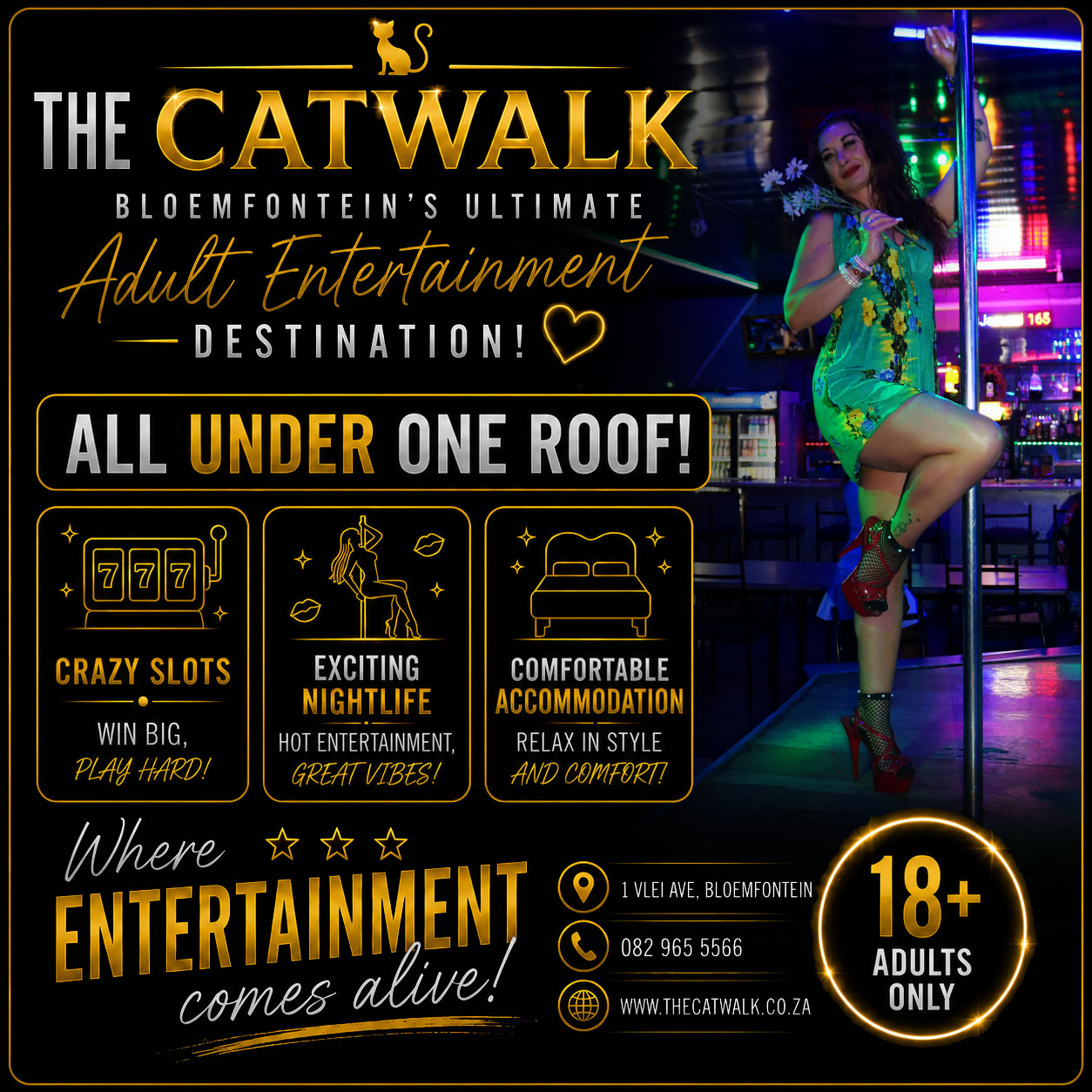 The Catwalk — News