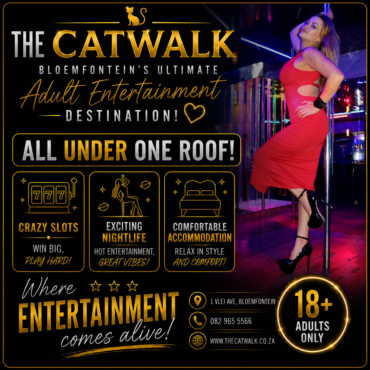The Catwalk — News