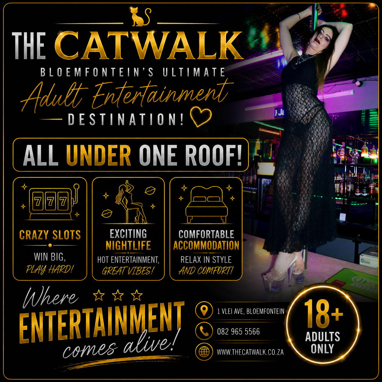 The Catwalk — News