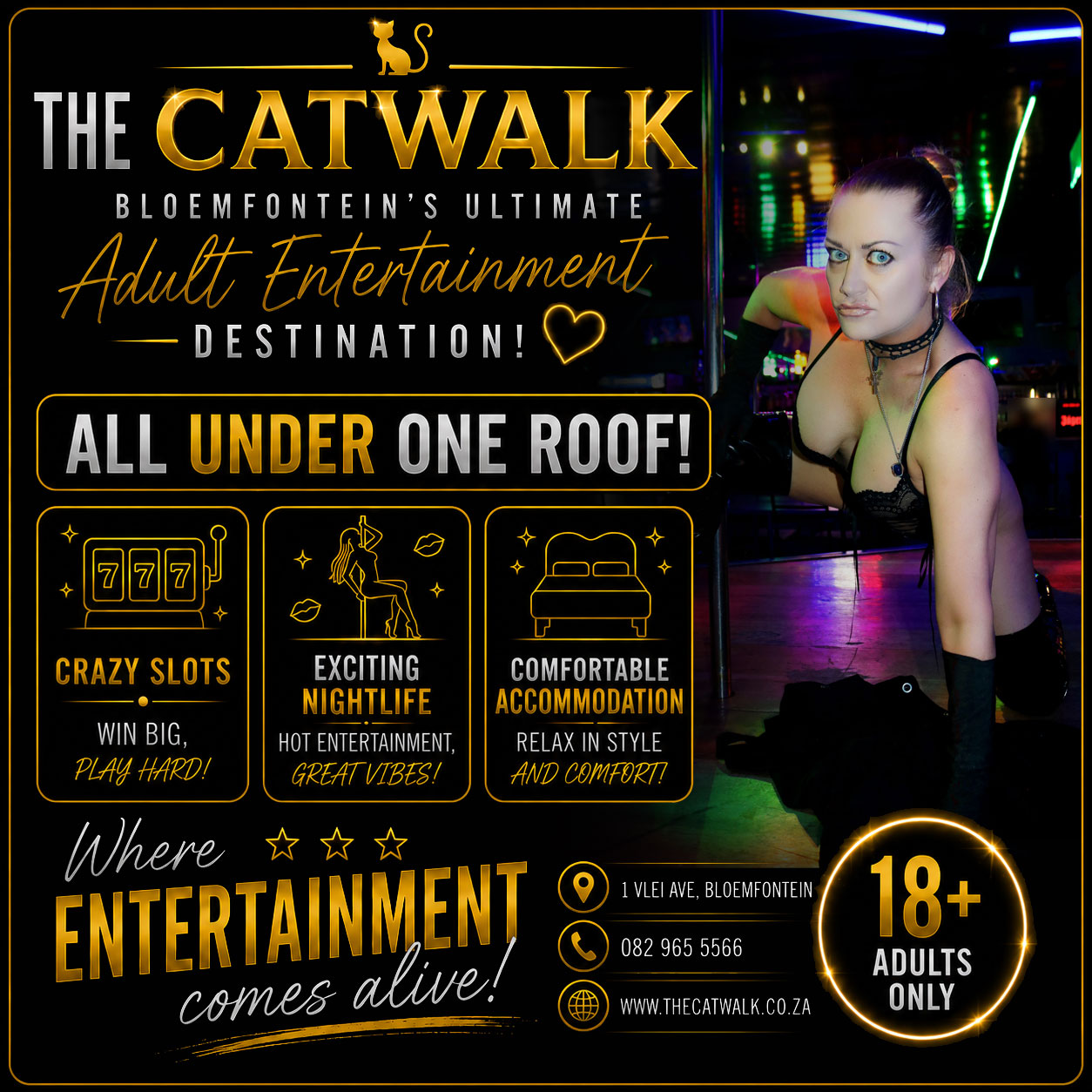 The Catwalk — News