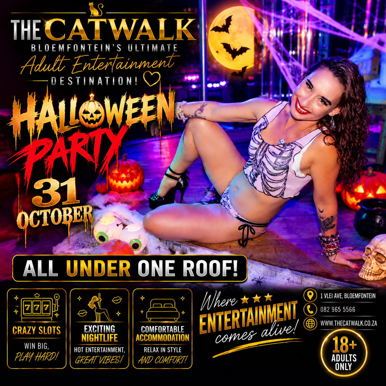 The Catwalk — News
