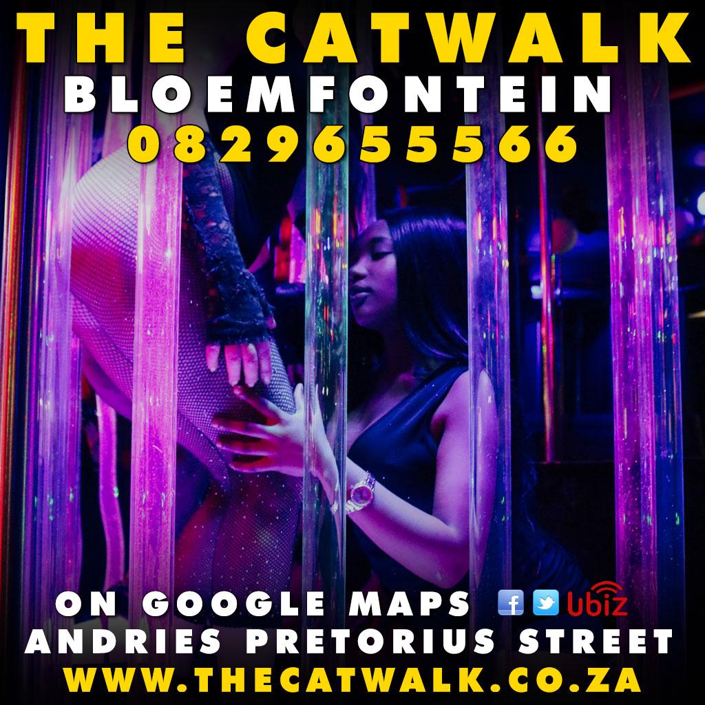 The Catwalk — News