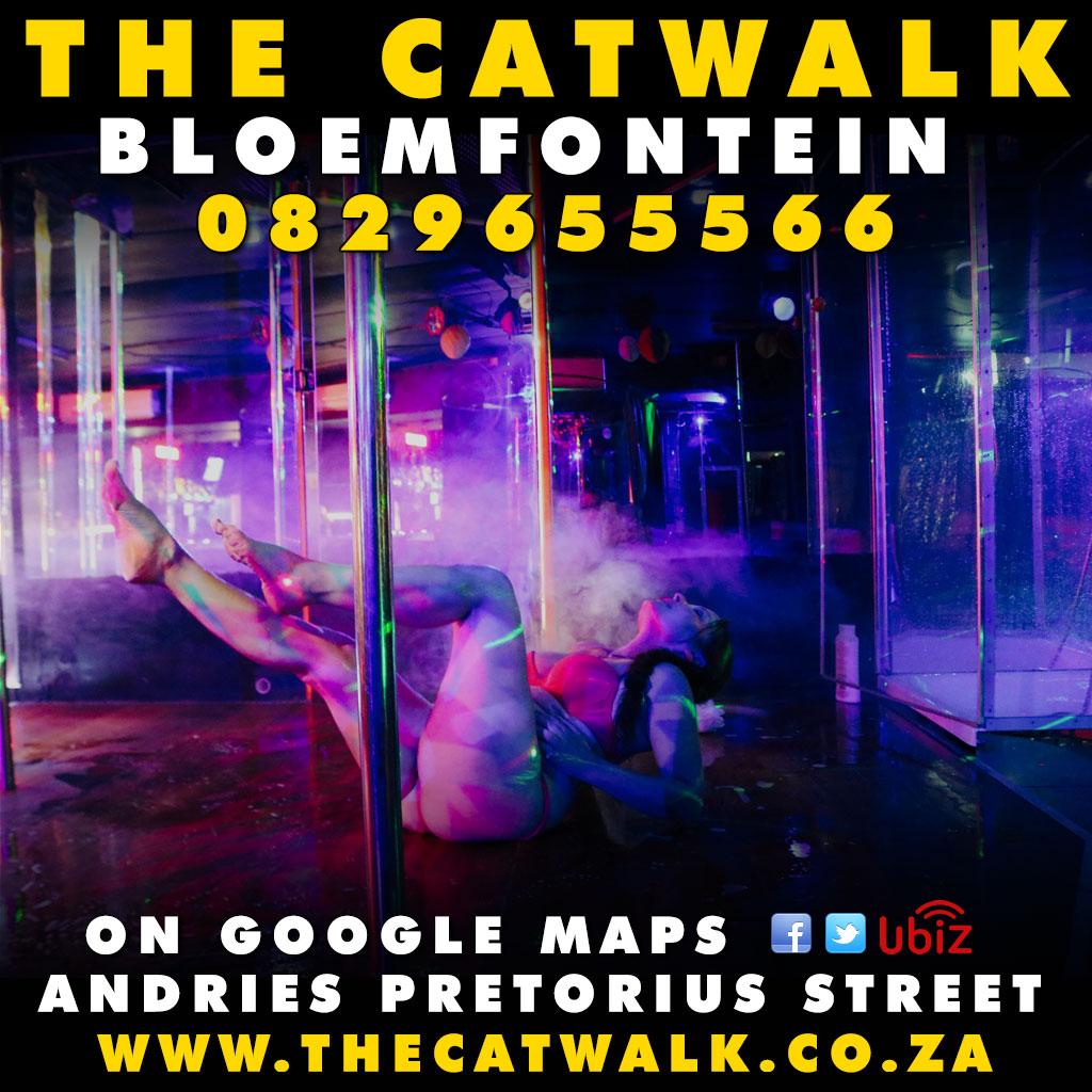 The Catwalk — News