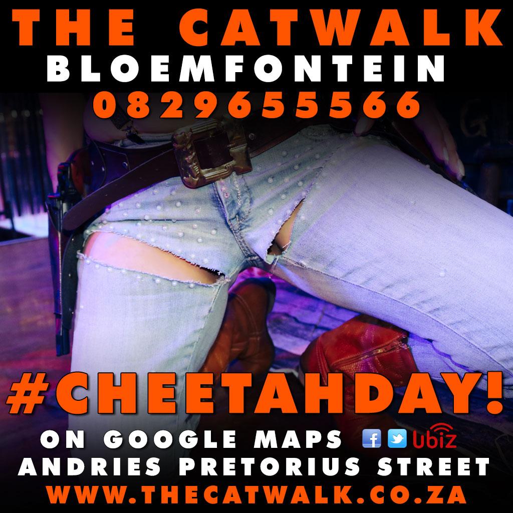 The Catwalk — News