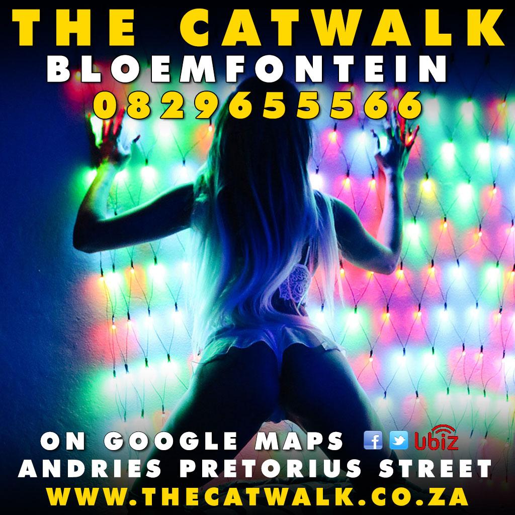 The Catwalk — News