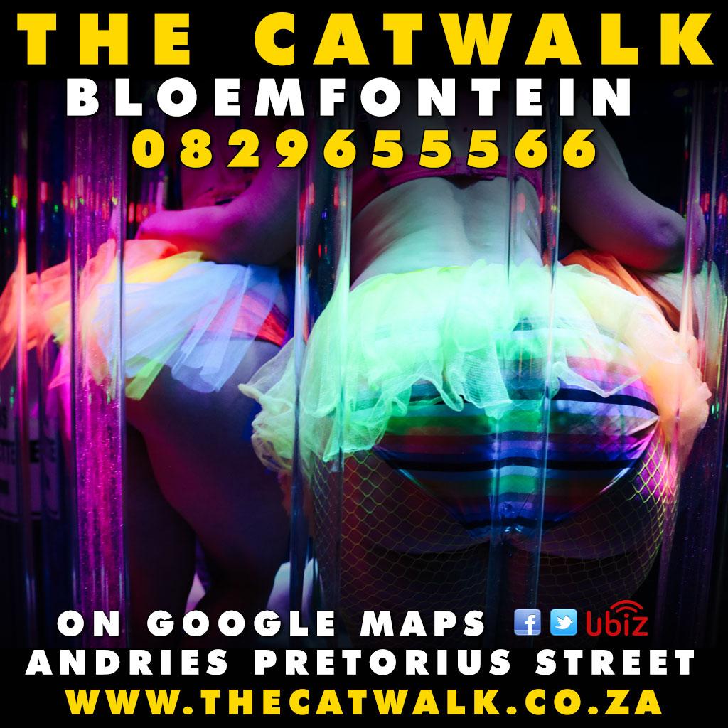 The Catwalk — News