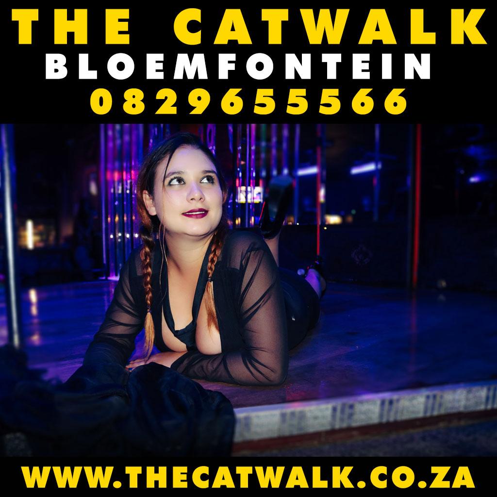 The Catwalk — News