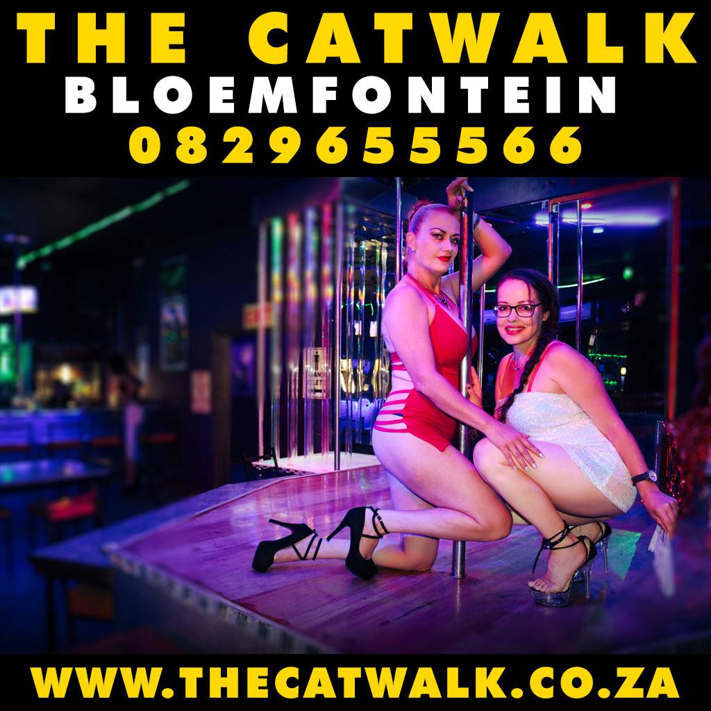 The Catwalk — News