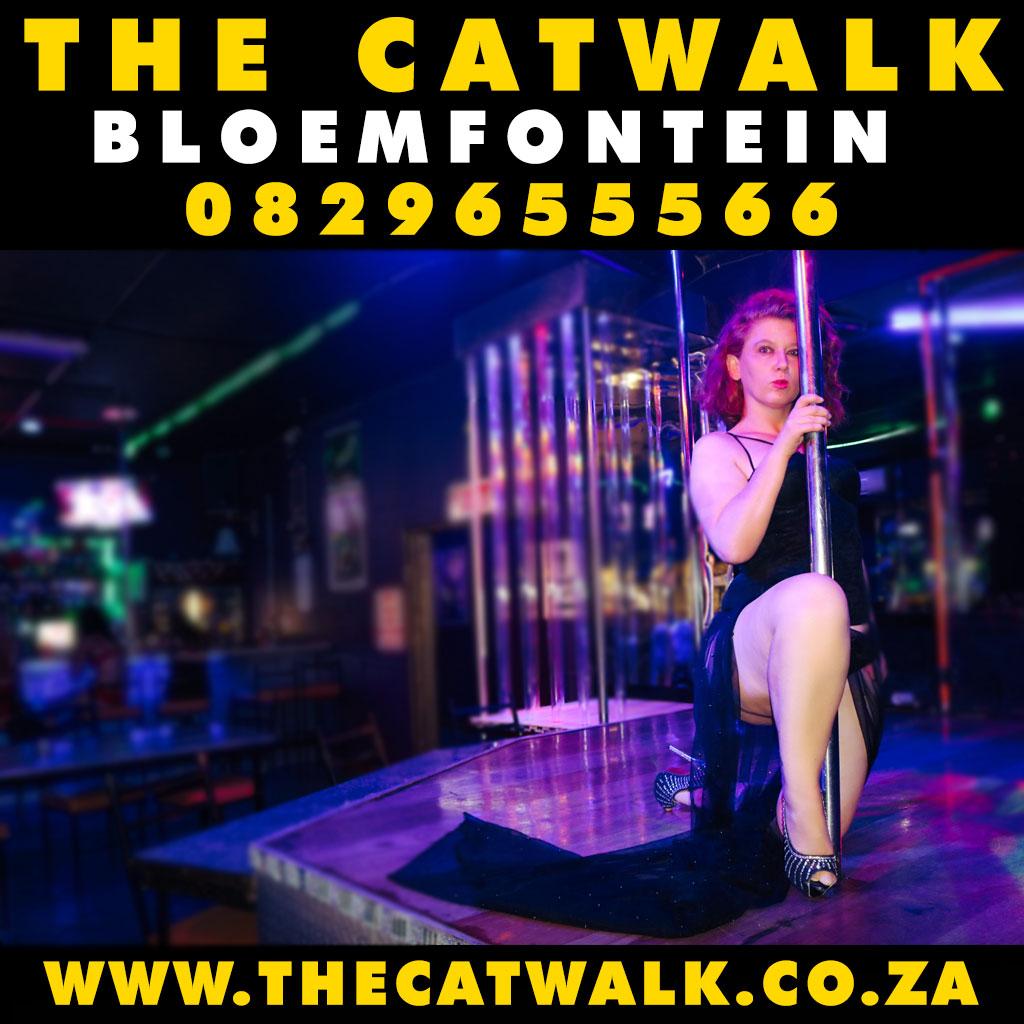 The Catwalk — News