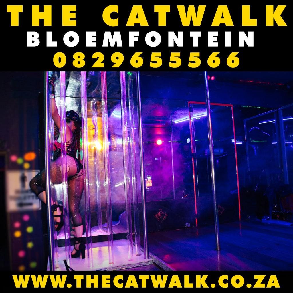 The Catwalk — News