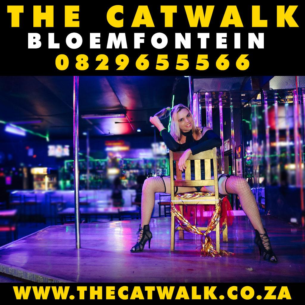The Catwalk — News