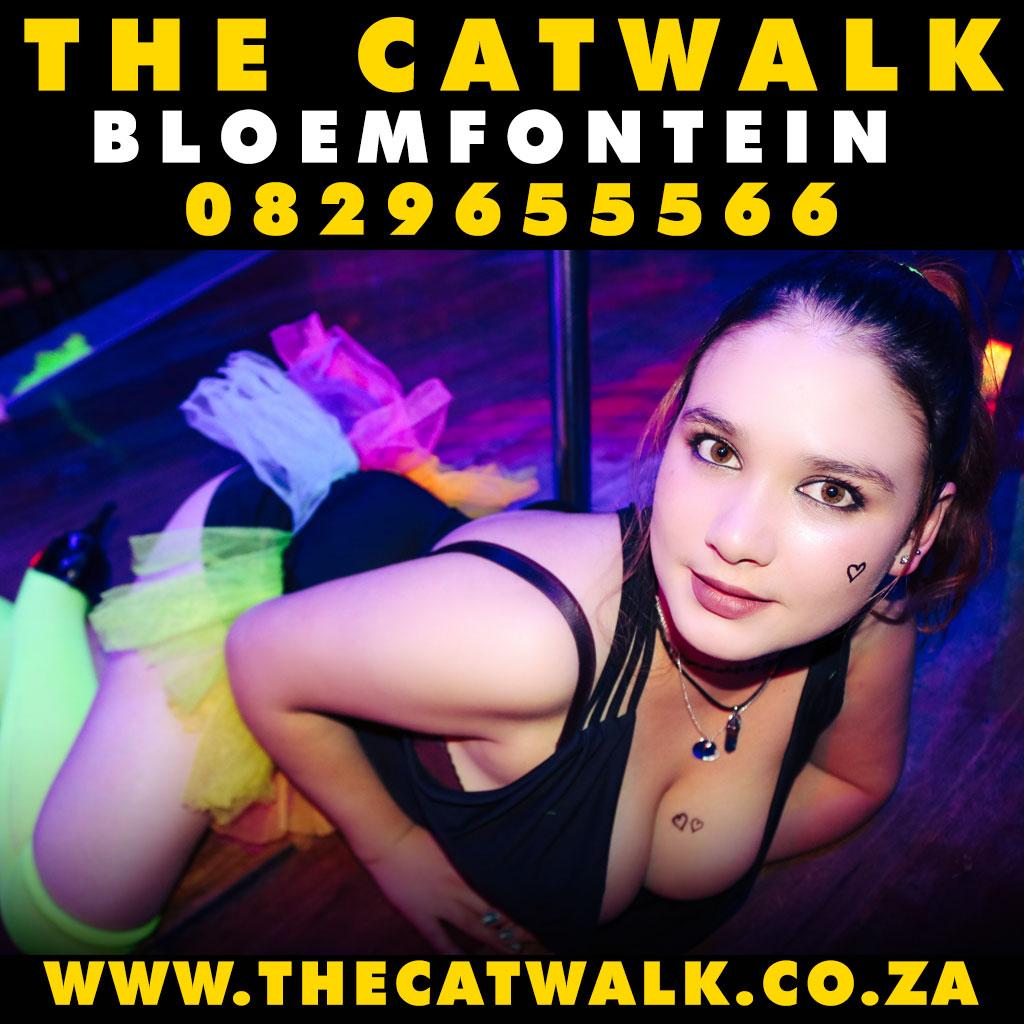 The Catwalk — News