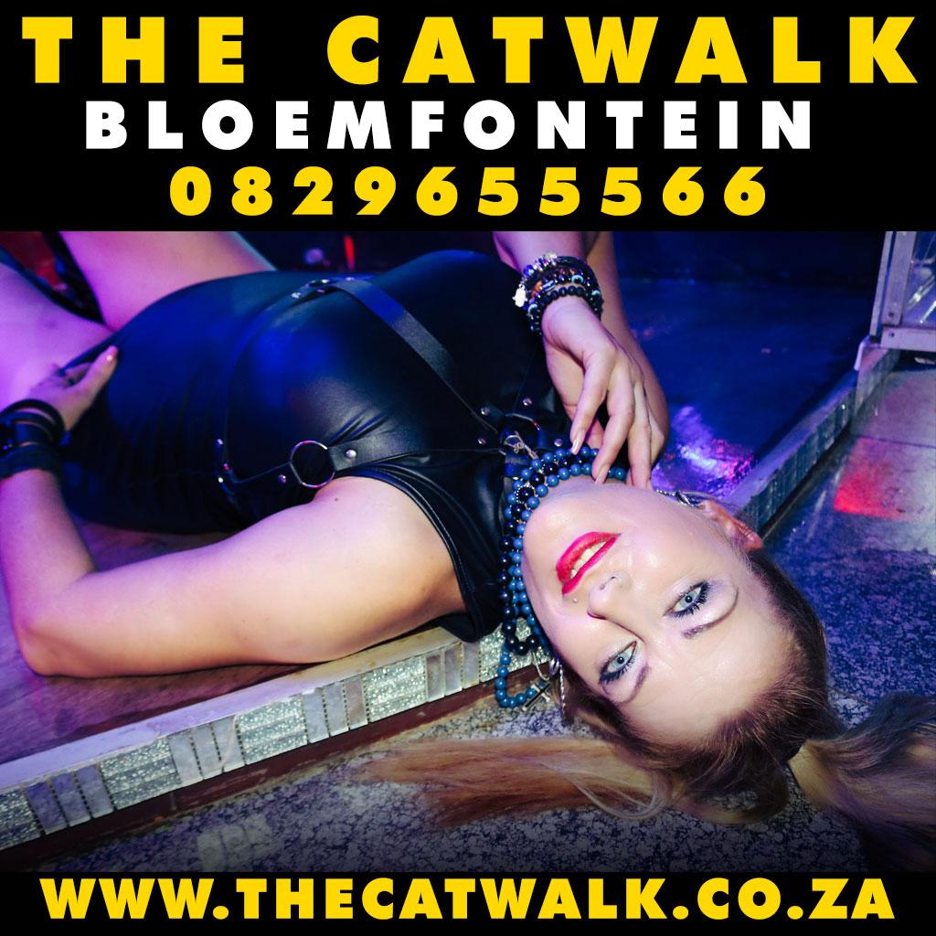 The Catwalk — News