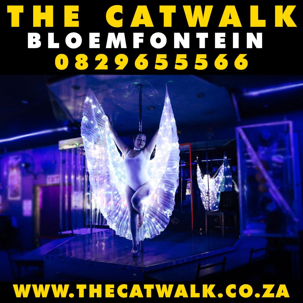 The Catwalk — News