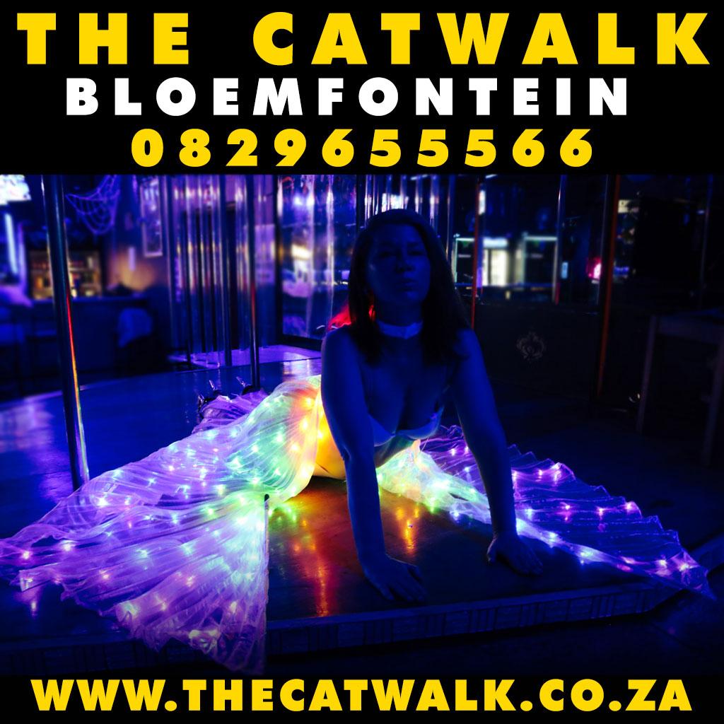 The Catwalk — News