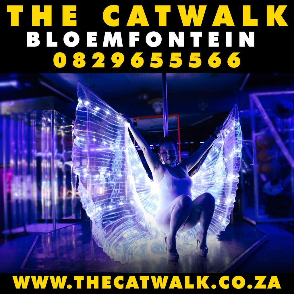 The Catwalk — News