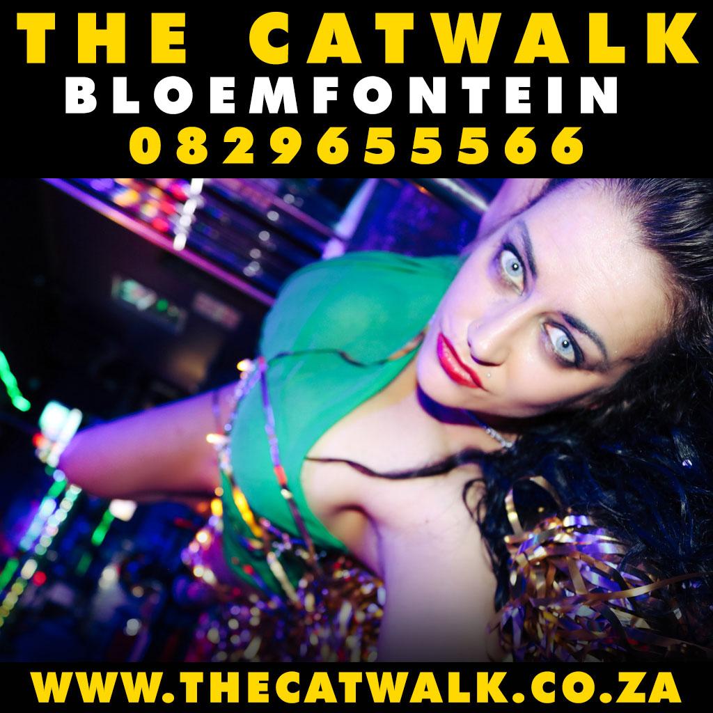 The Catwalk — News