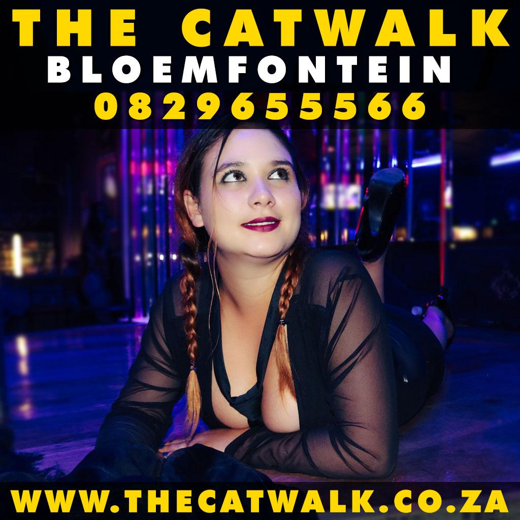The Catwalk — News