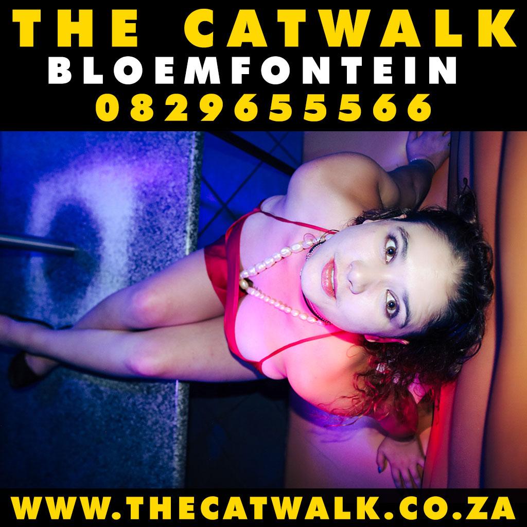 The Catwalk — News