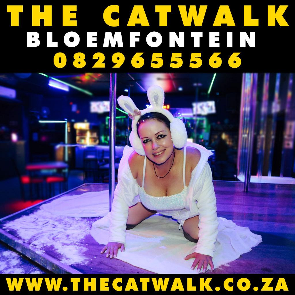 The Catwalk — News