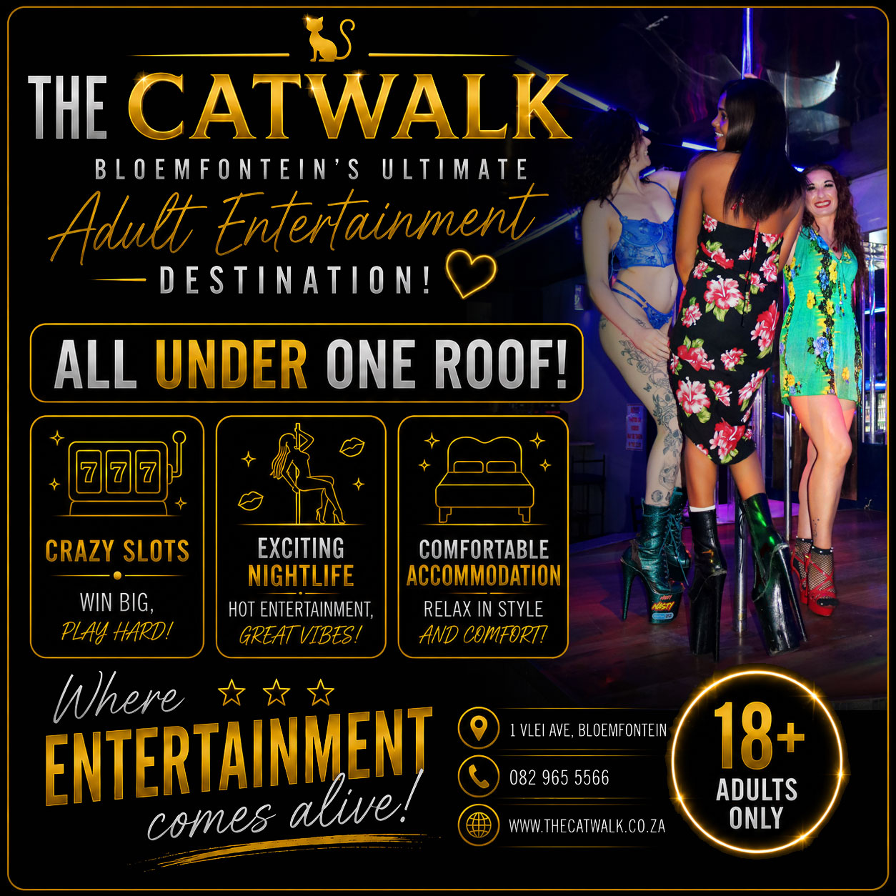 Dancers — The Catwalk